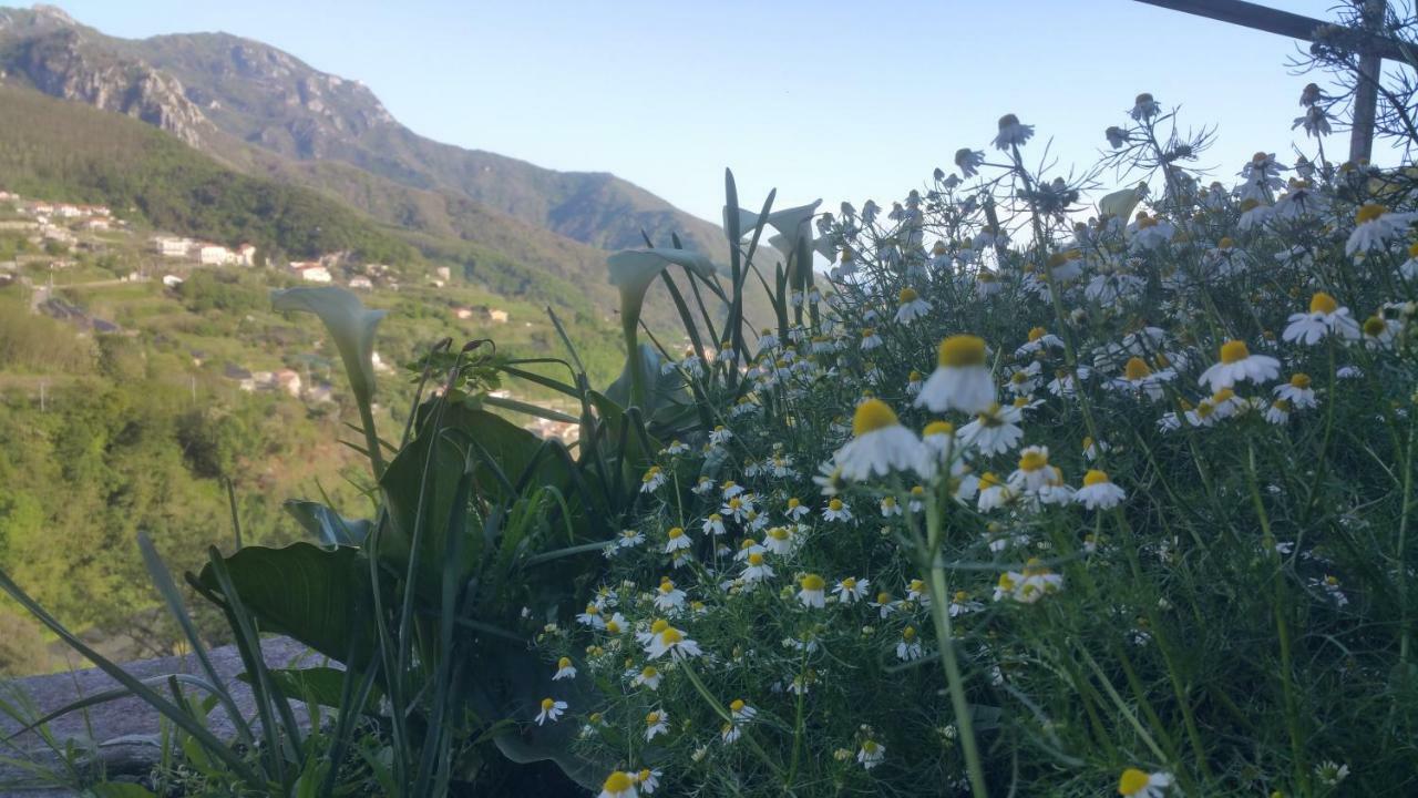 I Tredici Casali Hébergement de vacances *