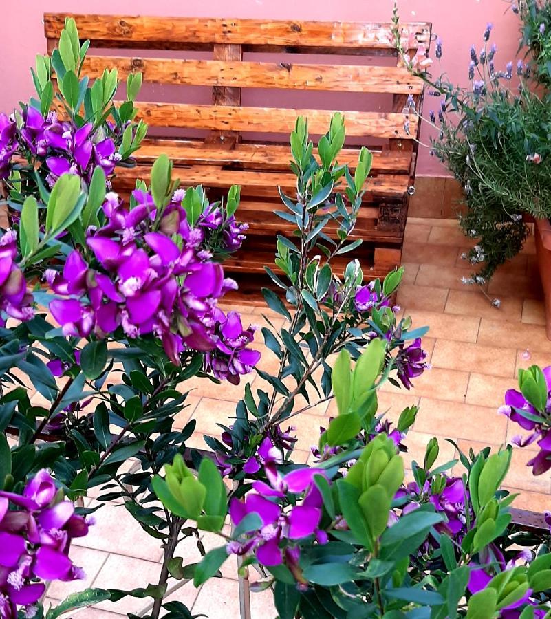 Holiday home I Tredici Casali